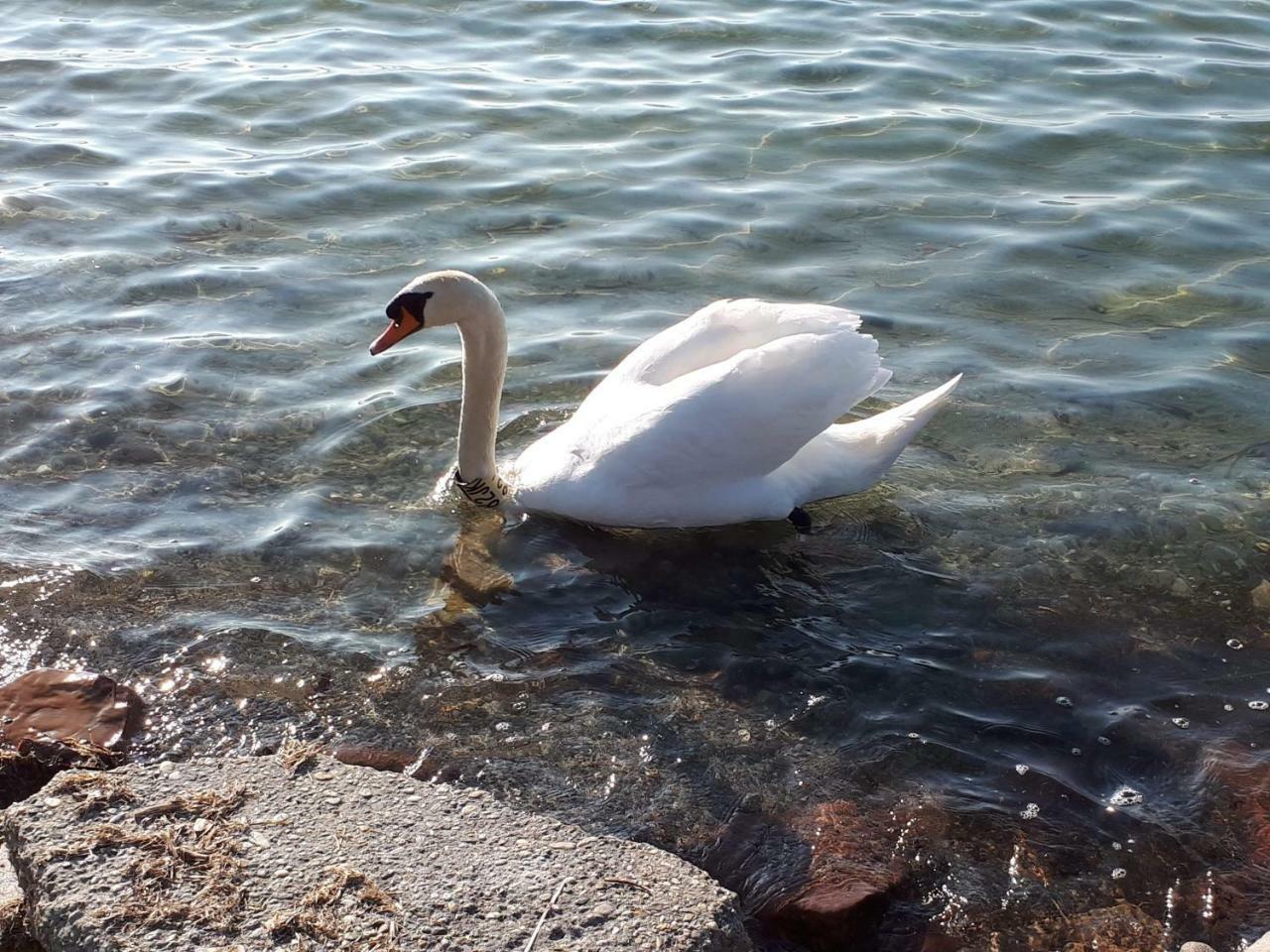 Balaton View Apartment Balatonboglár 외부 사진